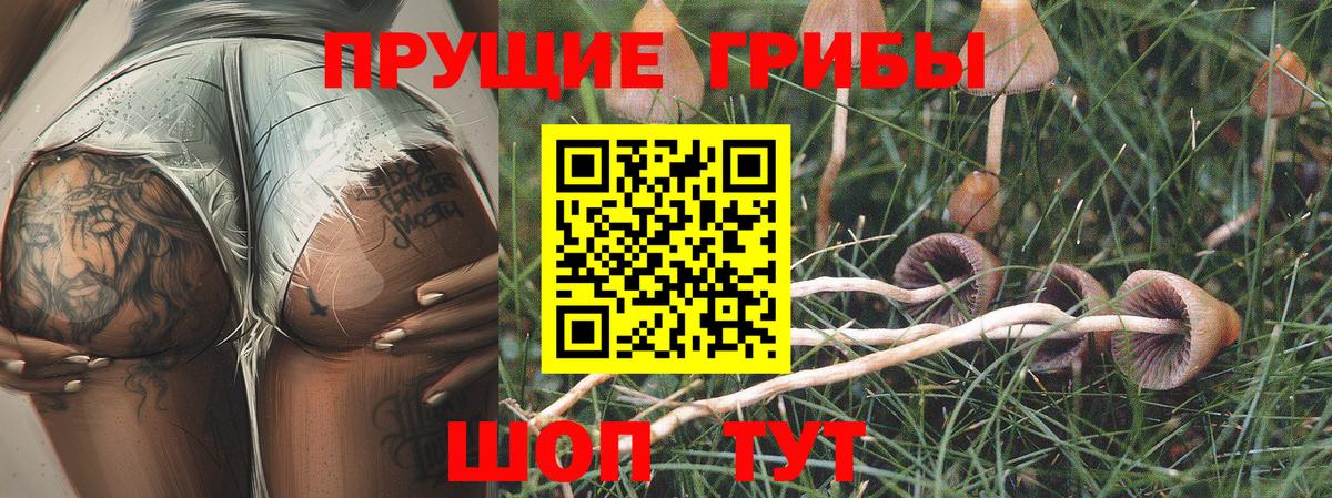 Ликино-Дулёво  Псилоцибиновые грибы мухоморы  Вход с VPN 