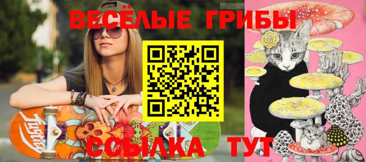 Галлюциногенные грибы Psilocybine cubensis Ликино-Дулёво